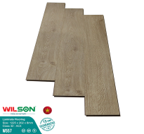 Sàn gỗ Wilson 8ly BT W557